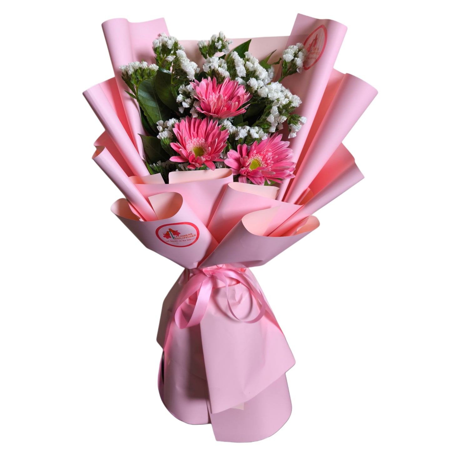 Gerbera Pink