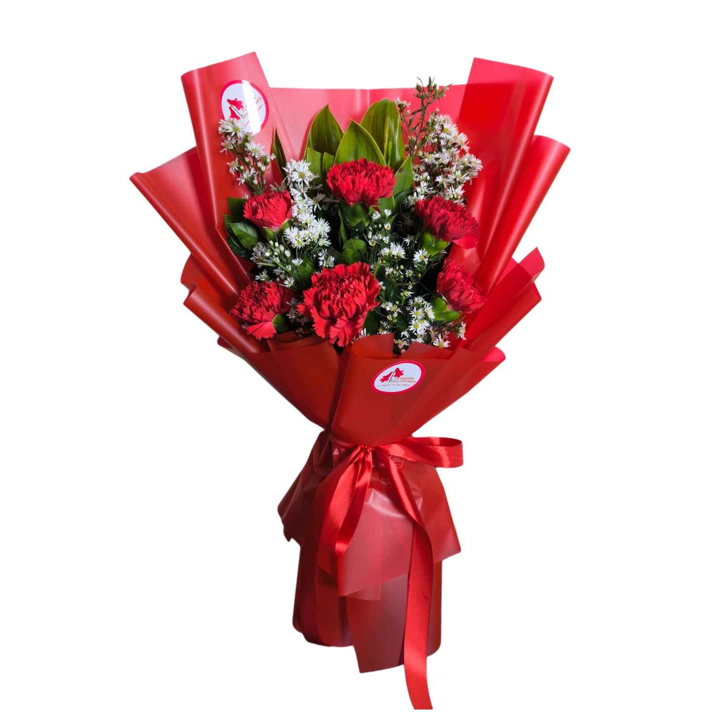 Red Carnation