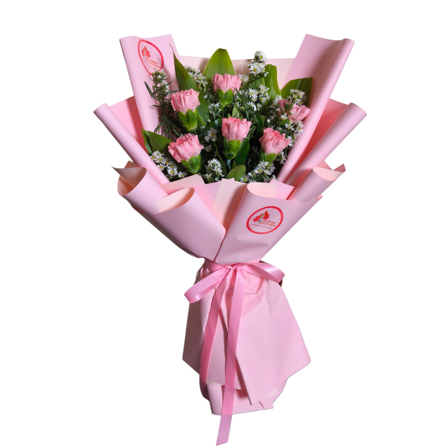 Pink Carnation