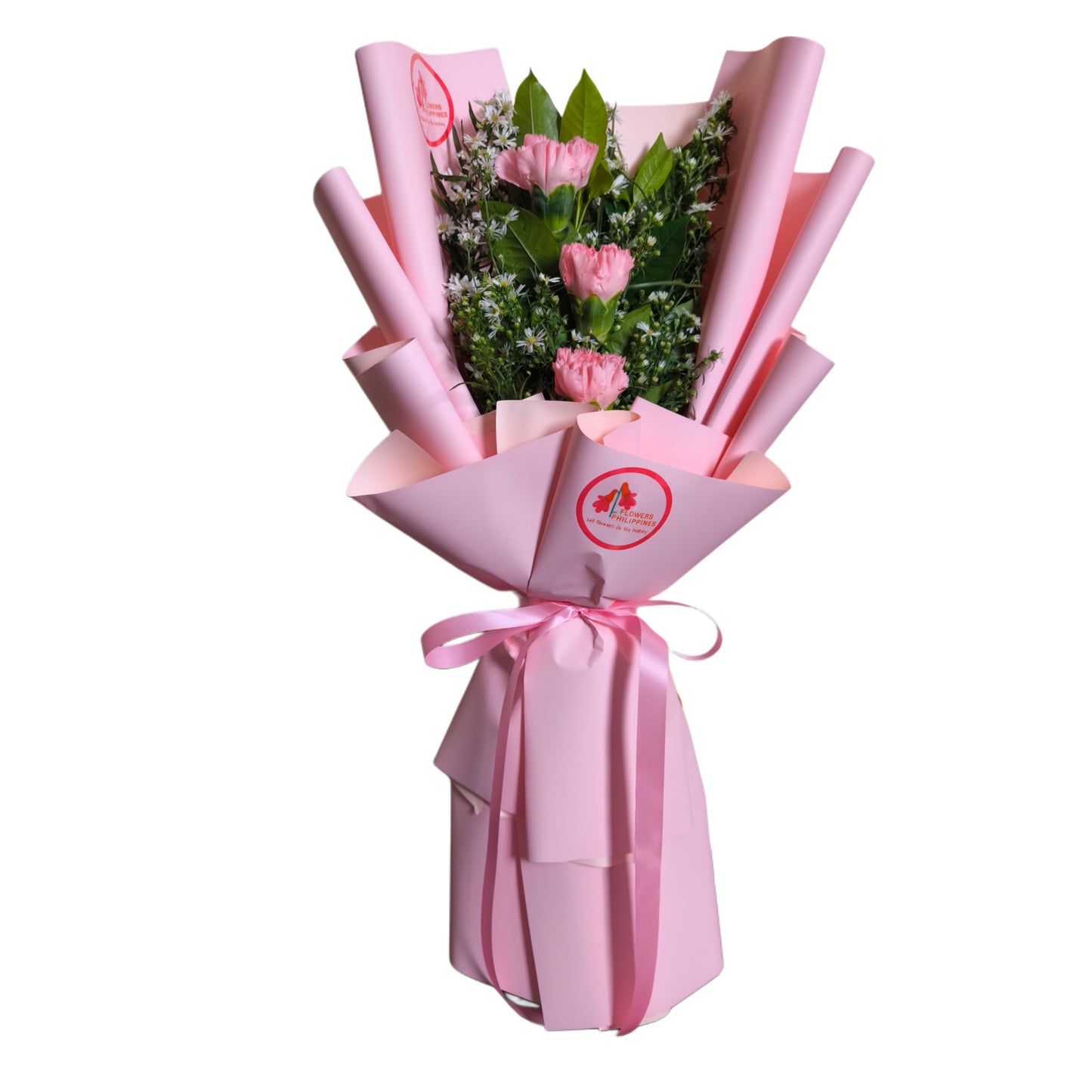 Carnation Pink