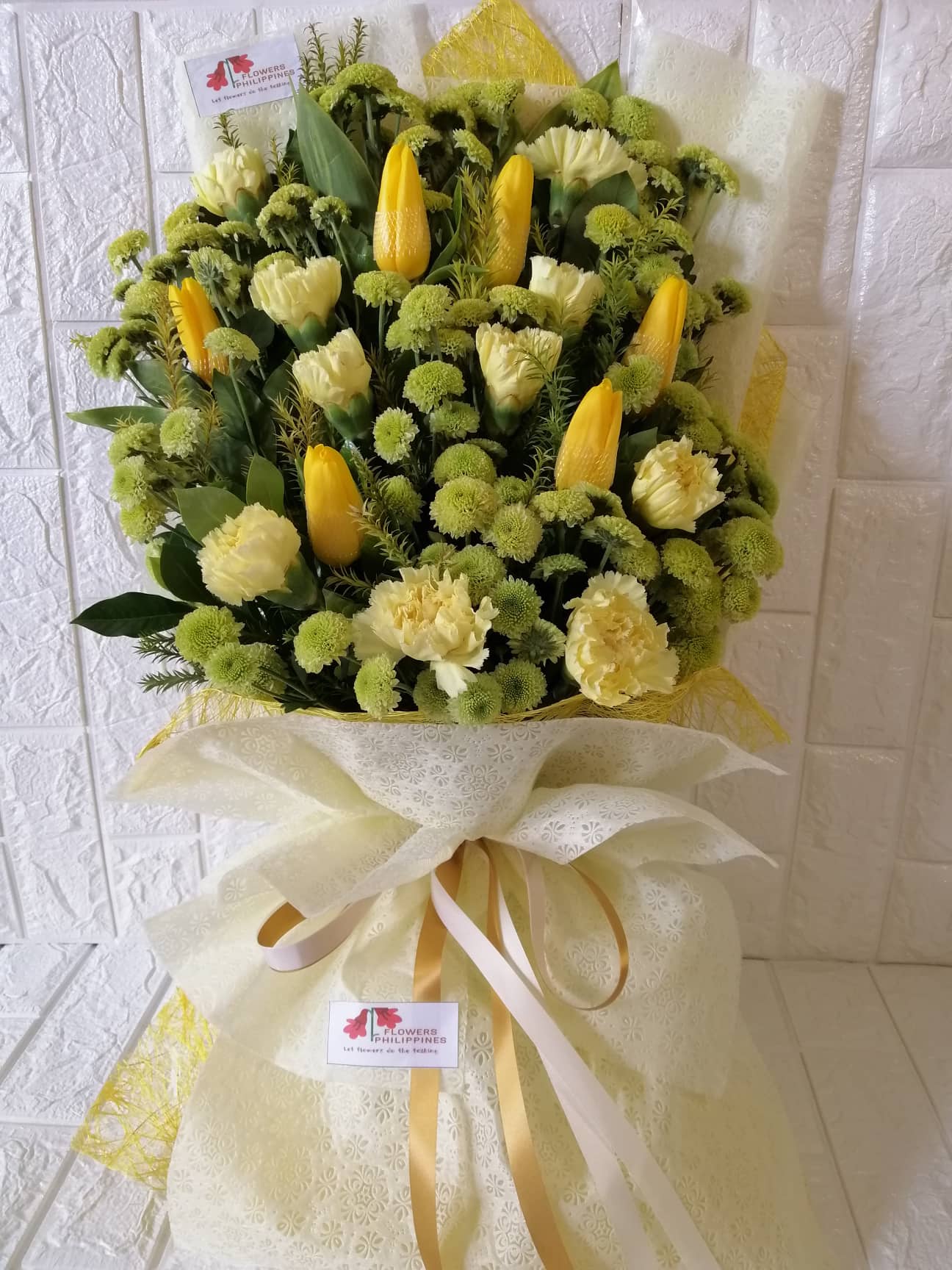 Tulips & Carnation