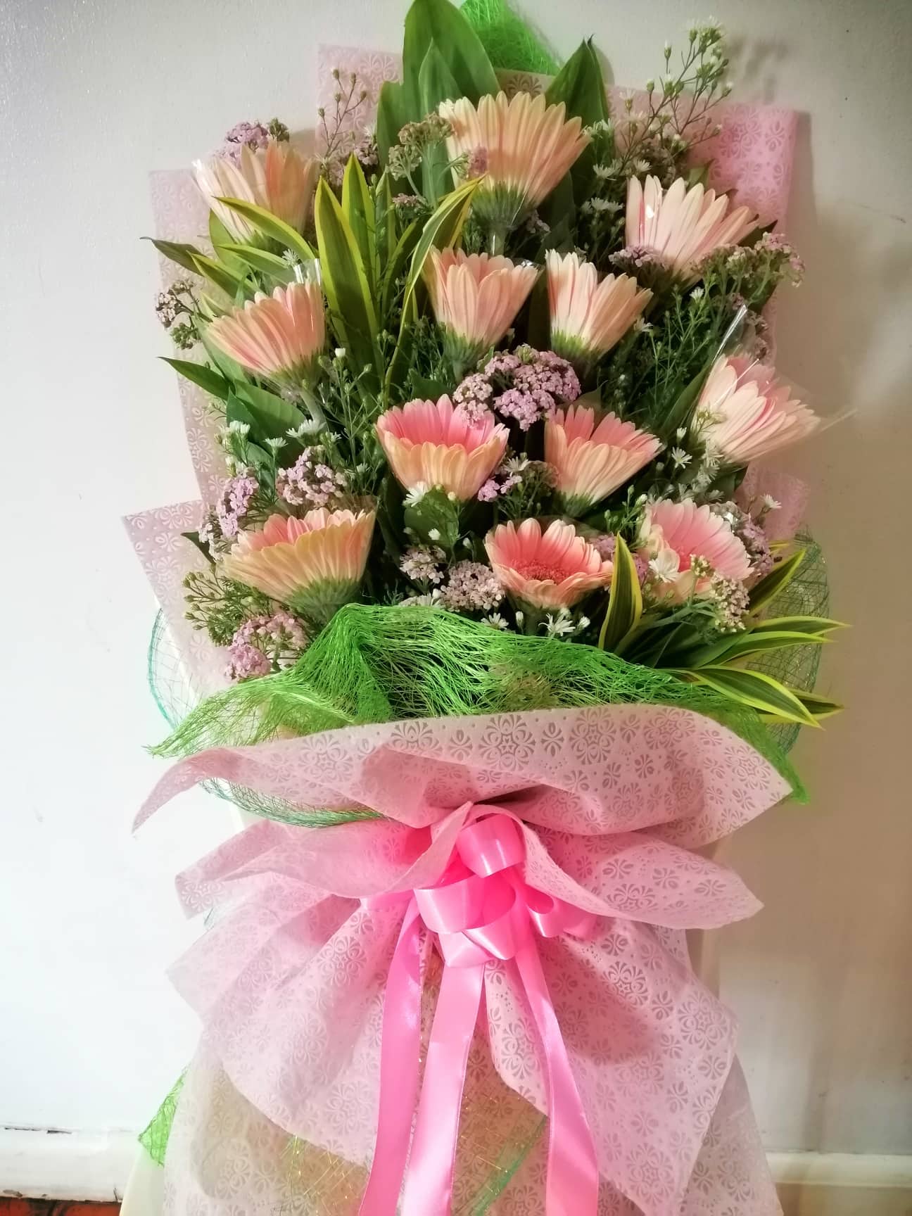 Pink Gerbera