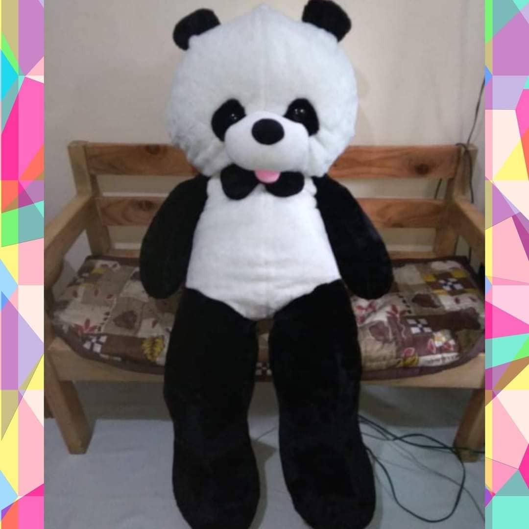 Panda Bear